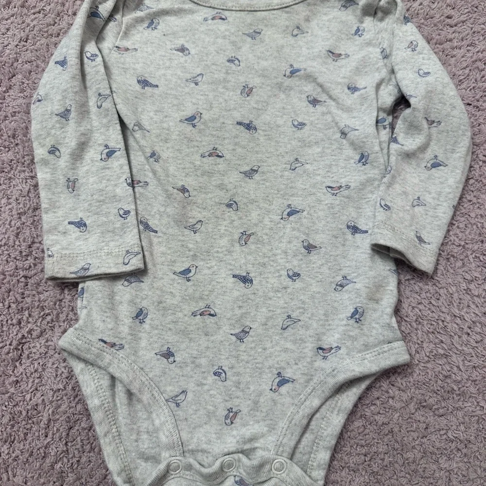 Little Planet Organic by Carter’s 12M Long Sleeve Bodysuit Set Floral Birds Baby